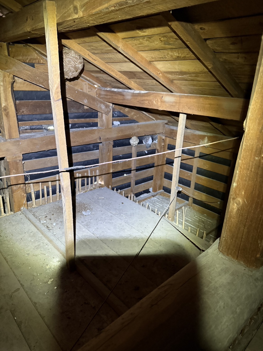 【岡山市北区】屋根裏にできたスズメバチの巣を徹底駆除しました！