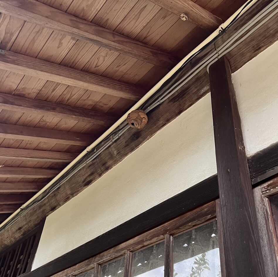 役場からのご紹介