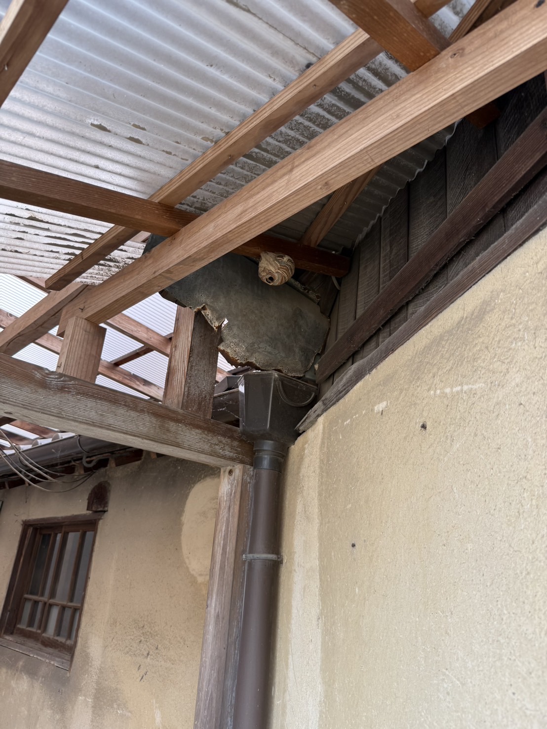 【福山市新市町】ソフトボールサイズのスズメバチの巣を駆除｜税込14,300円