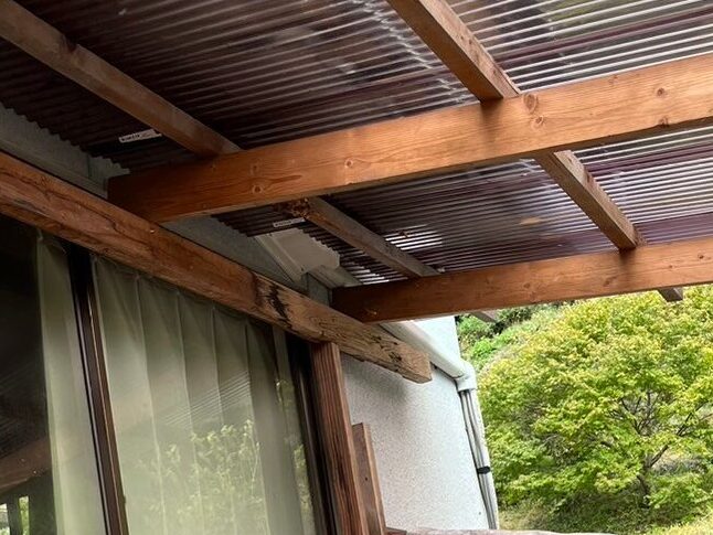 秋のハチが凶暴になる理由｜9〜10月が一番危険な3つの根拠と対処法
