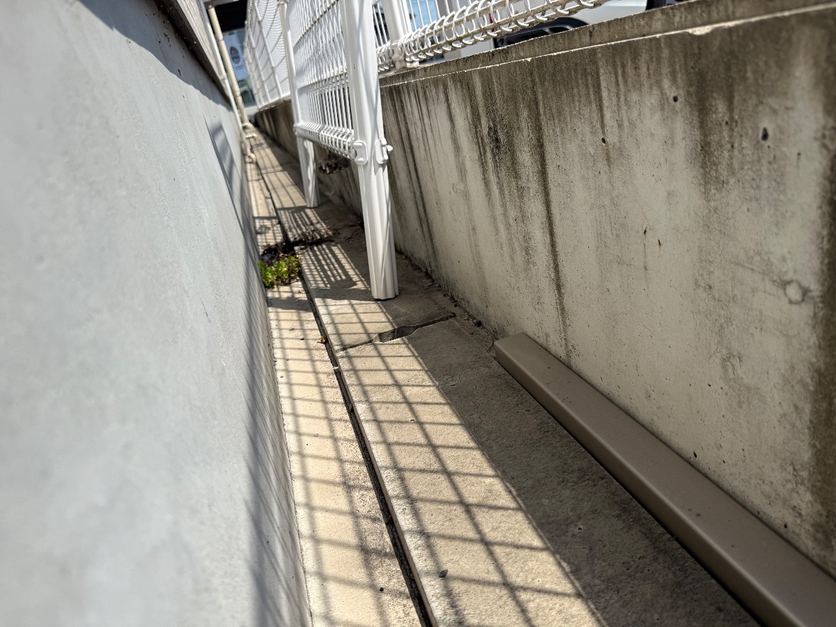 福山市の薬局でアシナガバチ駆除｜外壁の巣を即日対応