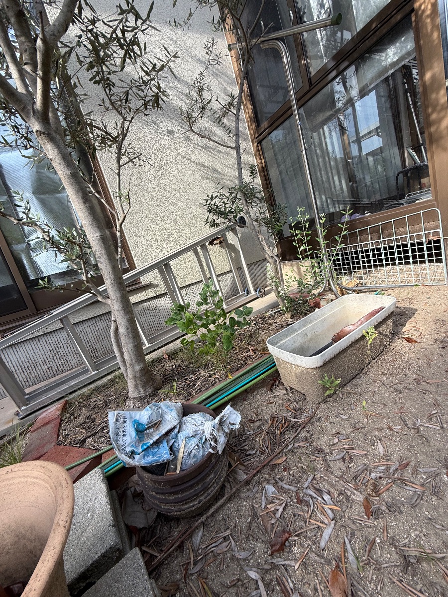 福山市 物置まわりにはしごや植木鉢が置かれたアシナガバチ駆除の現場
