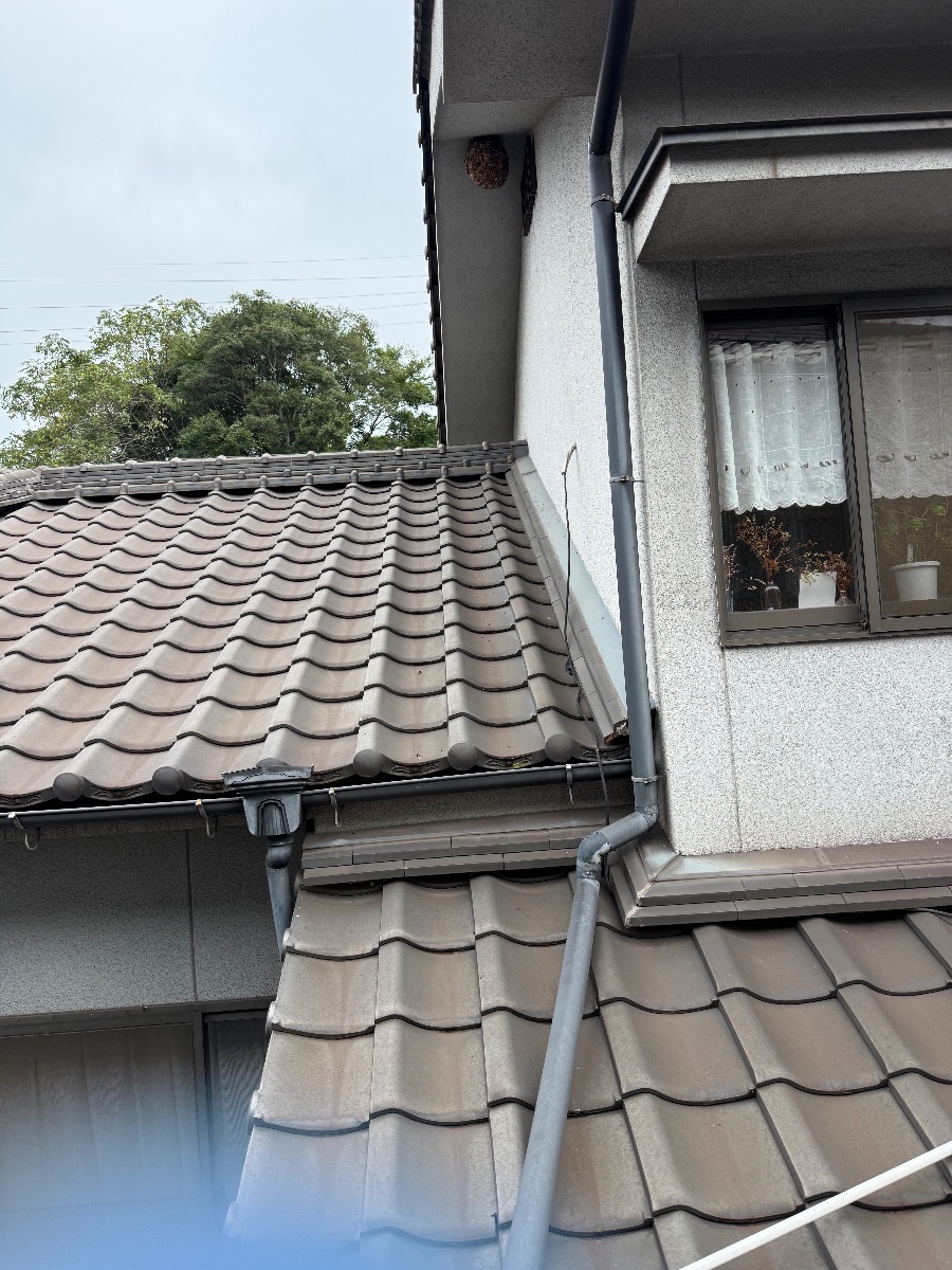 福山市大門町でスズメバチ駆除｜2階軒下の30〜40cmの巣