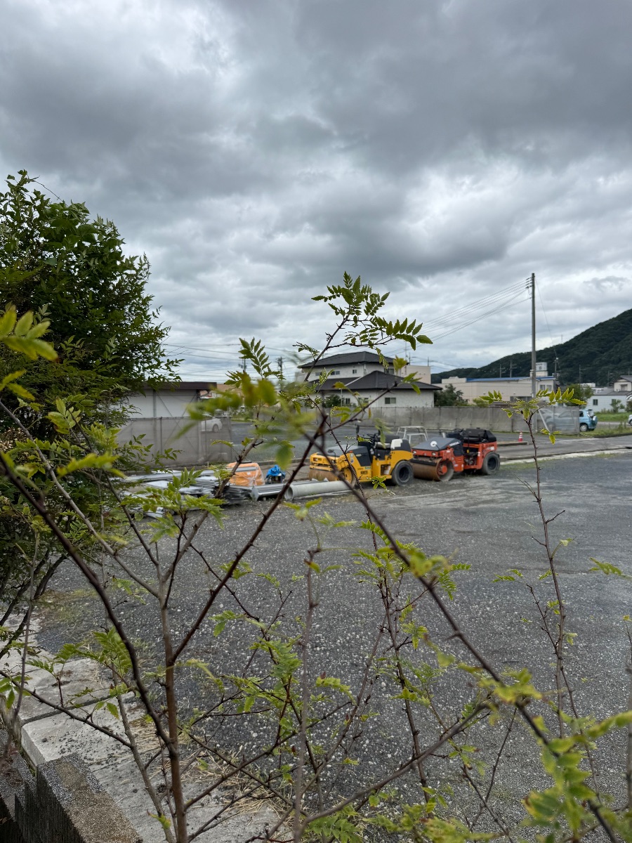 福山市駅家町 撤去したアシナガバチの巣