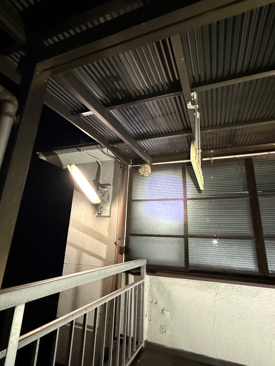 福山市神辺町でスズメバチ駆除｜2階ベランダ窓上の巣を当日夜に対応