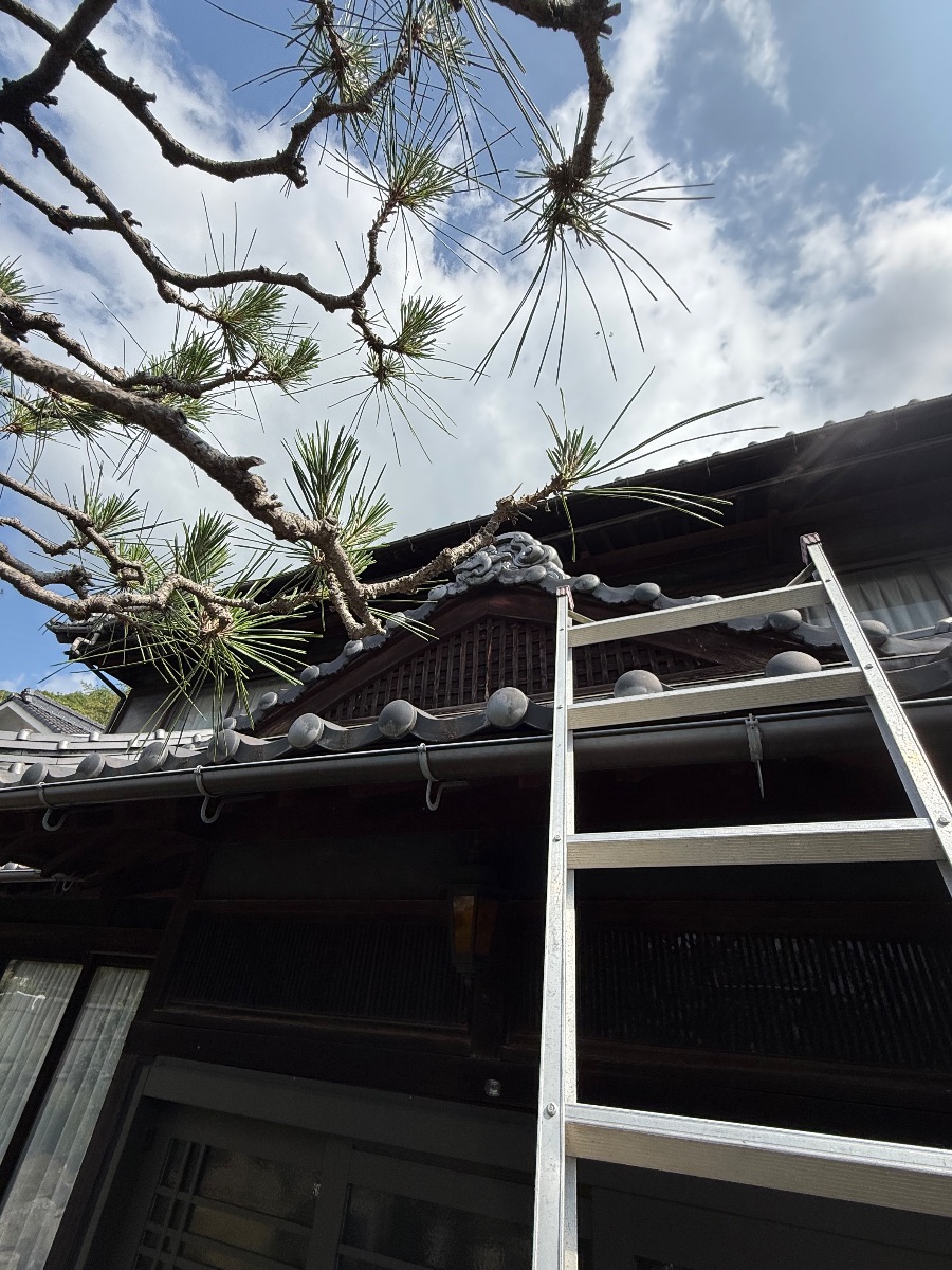 福山市春日町でスズメバチ駆除｜玄関上の隙間から屋根裏へ薬剤対応