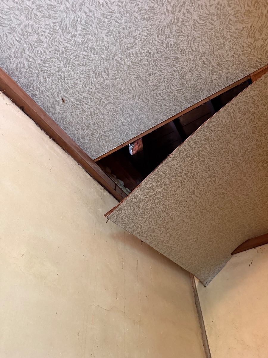 福山市 2階屋根裏のミツバチの巣で天井が抜けてしまった様子