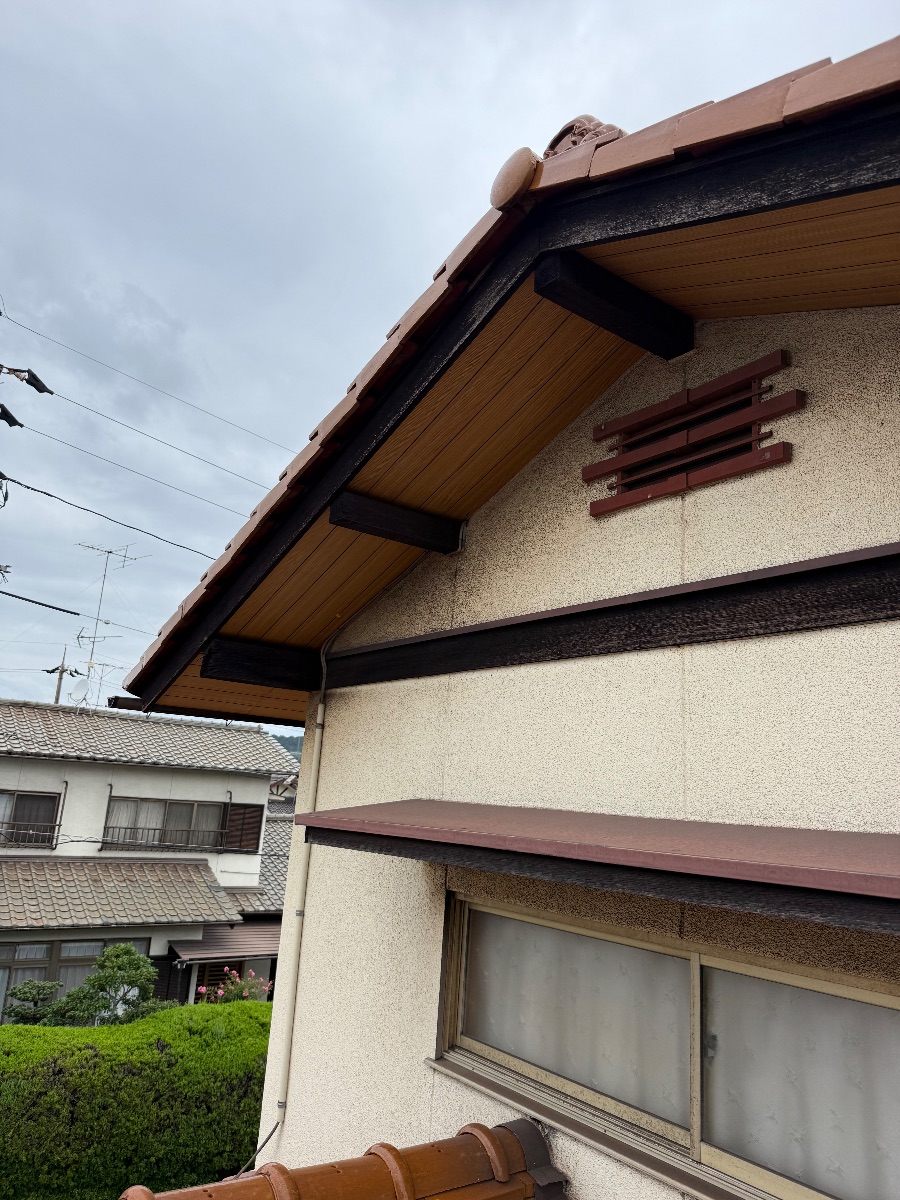 福山市能島でミツバチ駆除｜壁の隙間から屋根裏に営巣