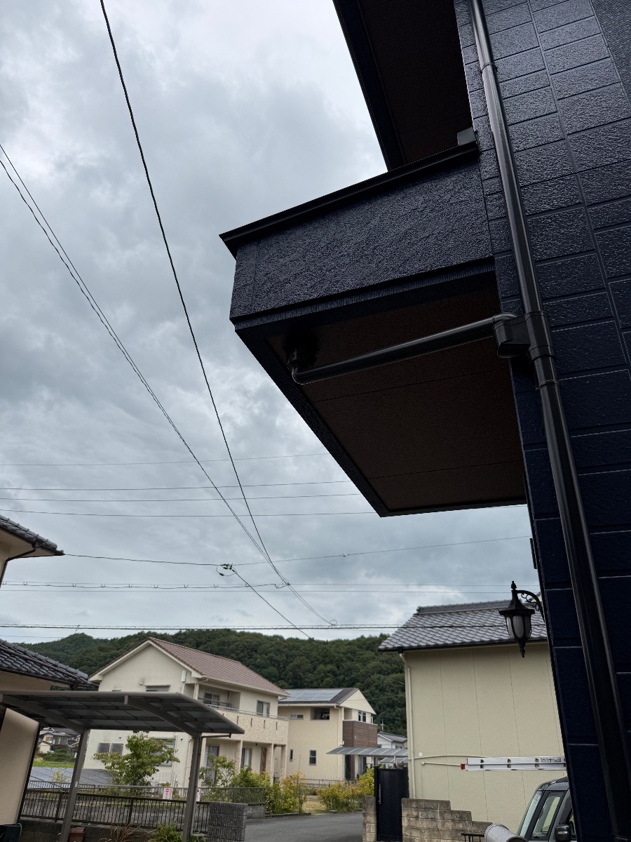 福山市新市町でアシナガバチ駆除｜巣はないのに壁に群がる
