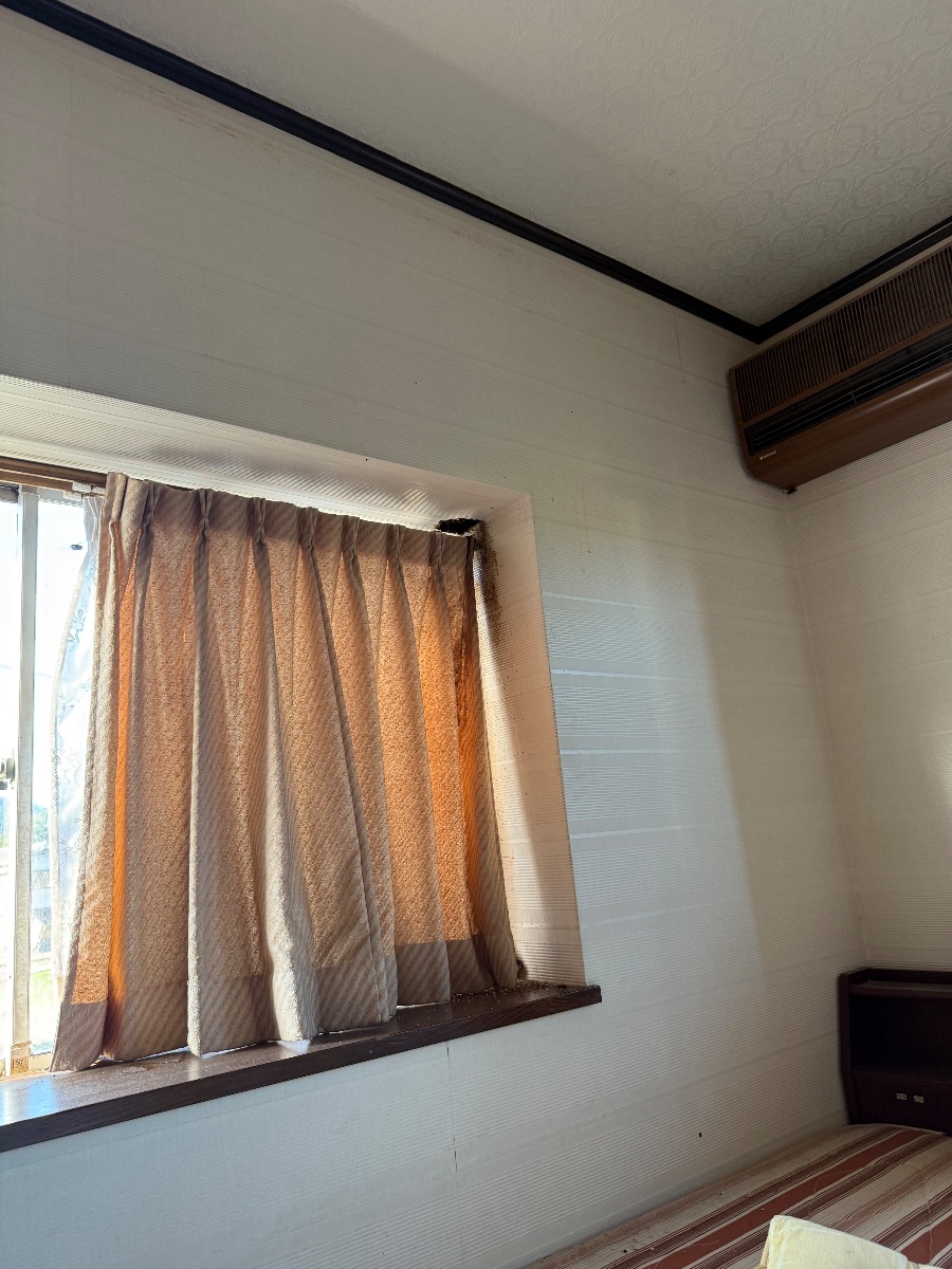 福山市新市町でスズメバチ駆除｜部屋にハチが何匹も…天井裏の巣