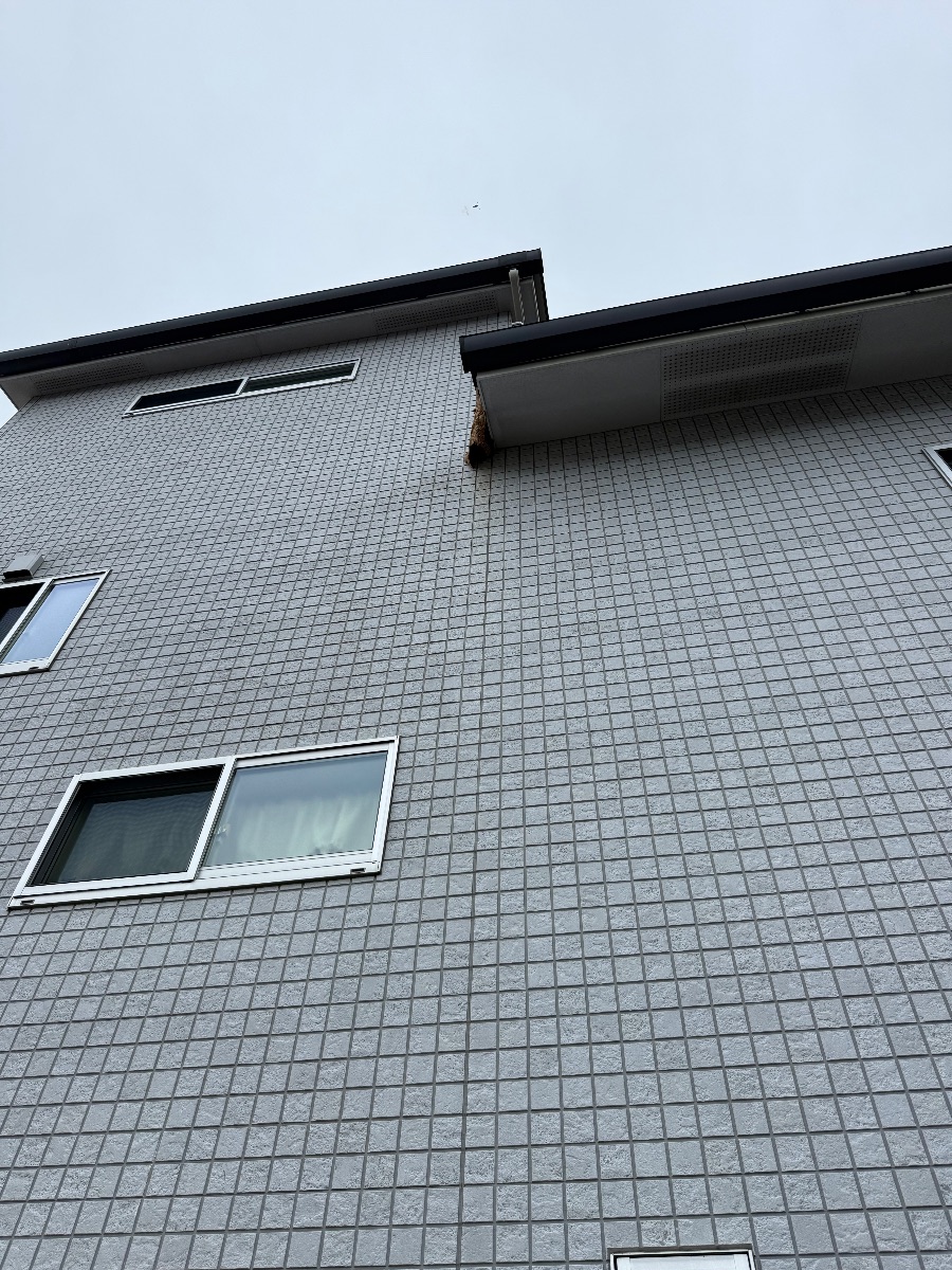 福山市でスズメバチ駆除｜2階軒先の角の巣を高所作業で対応