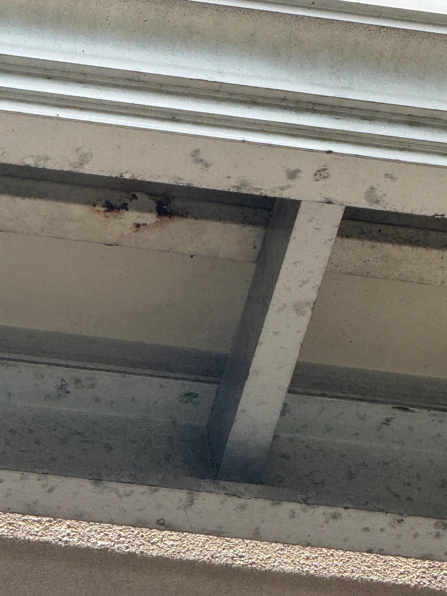 井原市高屋町 2階ベランダ下のアシナガバチの巣を駆除した後の様子