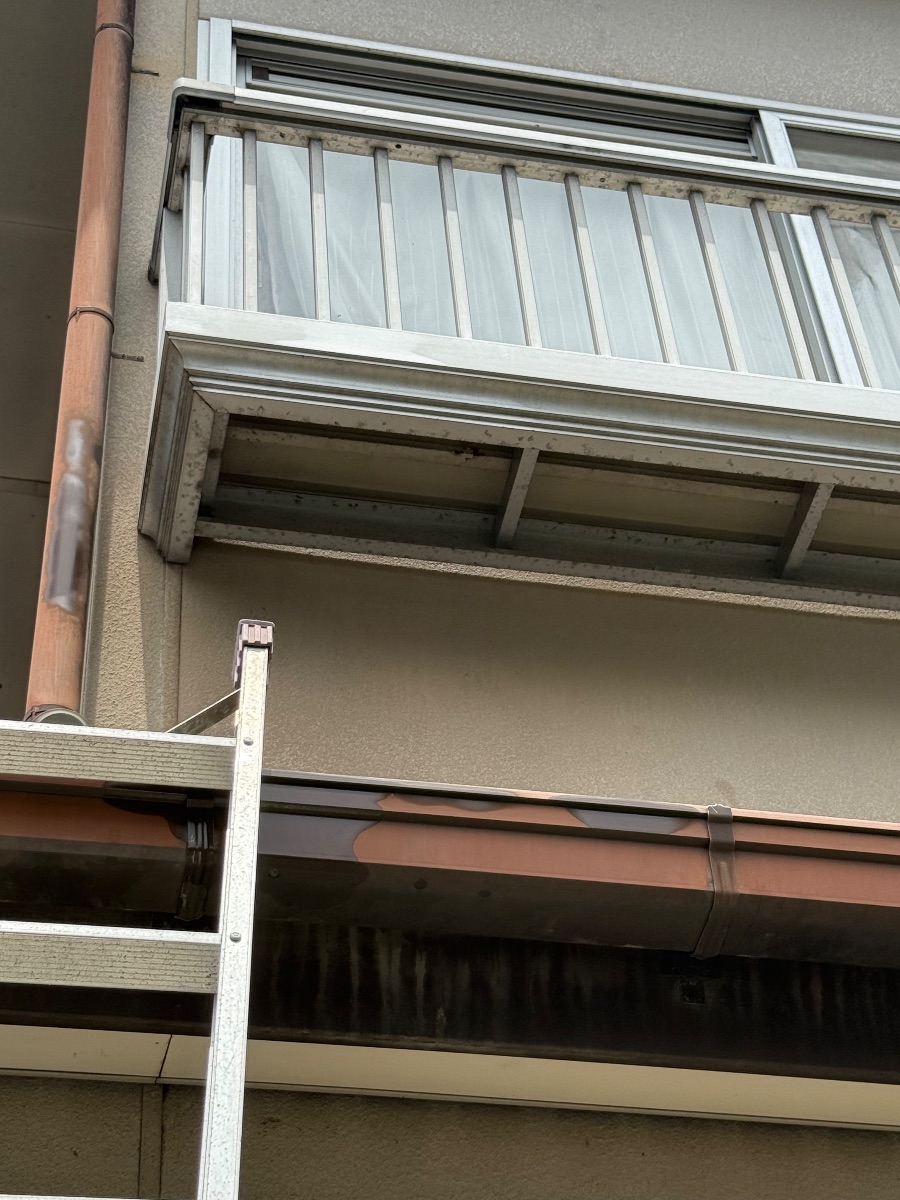 井原市高屋町でアシナガバチ駆除｜2階ベランダ下の巣を即日対応