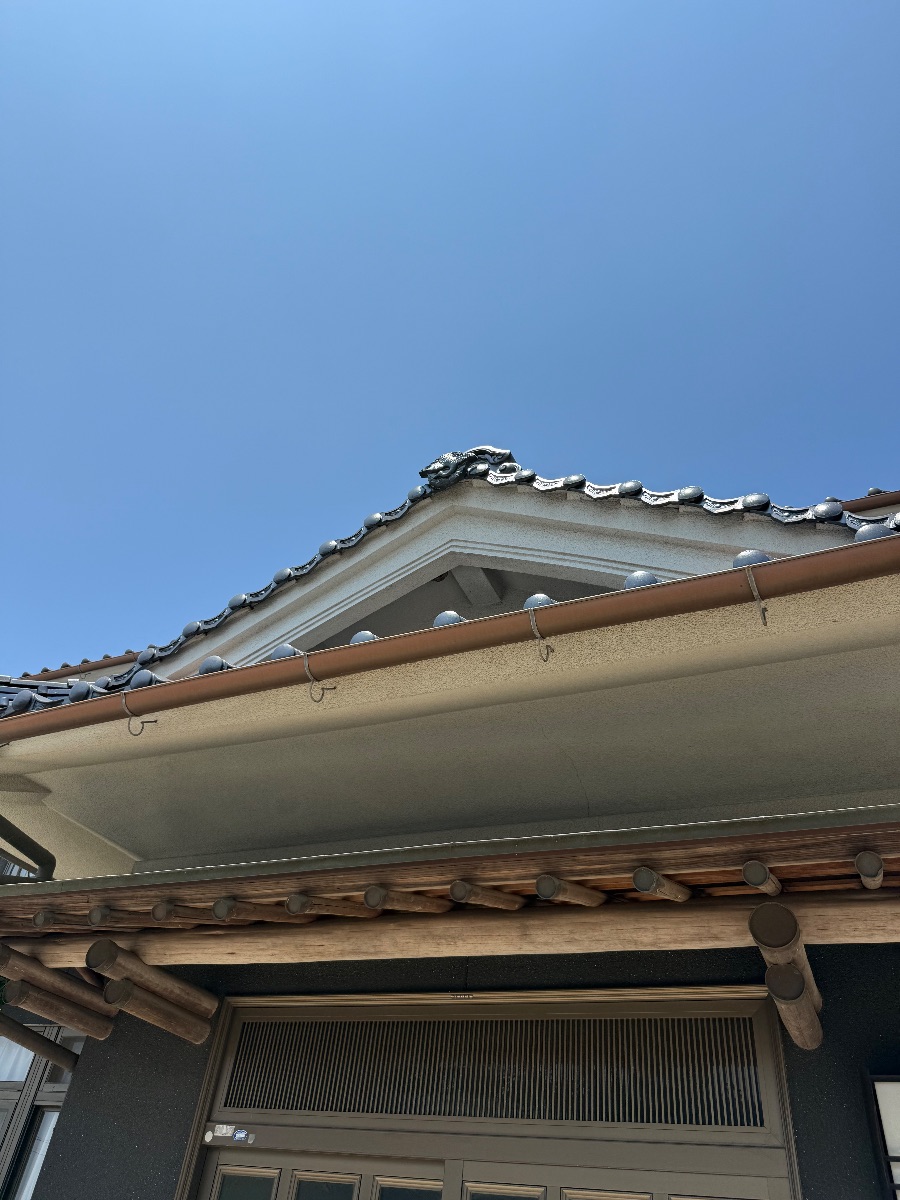 井原市でスズメバチ駆除｜2階軒下の10cmの巣を即日対応