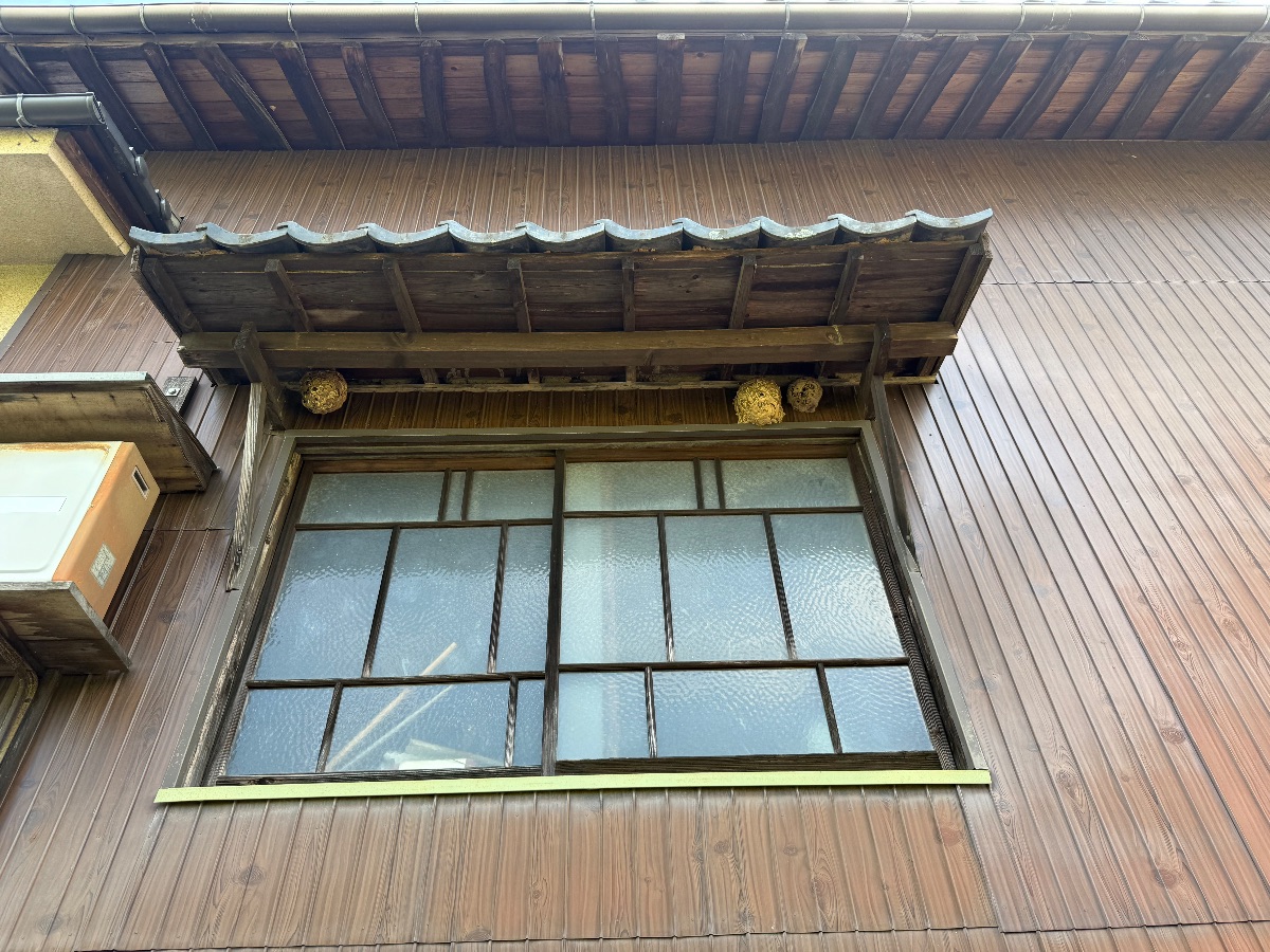 井原市大江町でスズメバチの古巣を撤去｜軒下の3箇所を即日対応