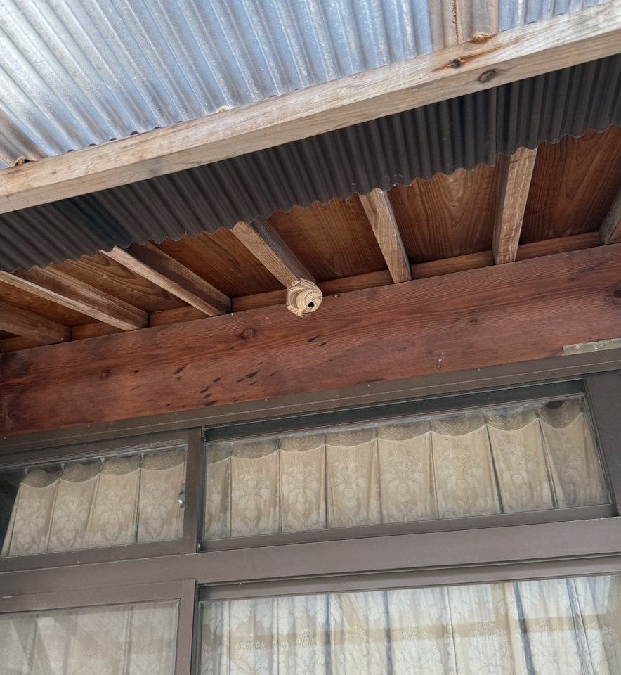 【井原市芳井町】ソフトボールサイズの蜂の巣を電話見積もりで即対応！