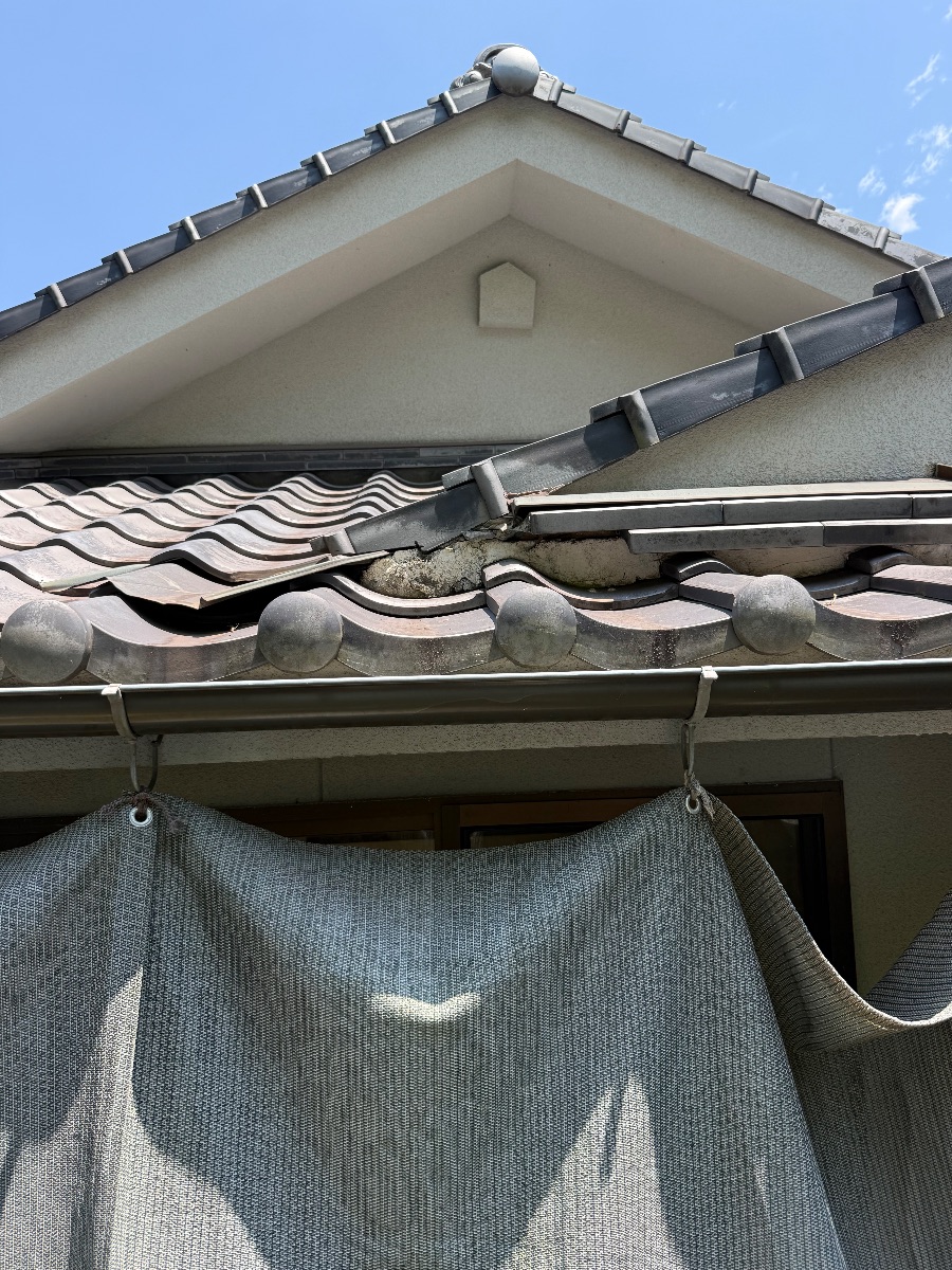 笠岡市大島でスズメバチ駆除｜1階屋根裏の巣に薬剤注入で対応