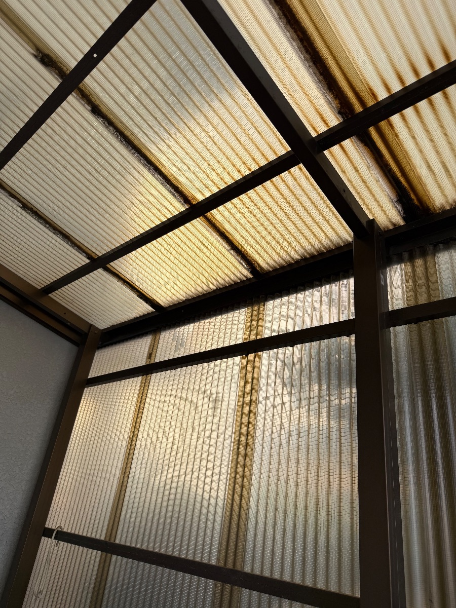岡山市 アシナガバチの巣を撤去した後のカーポートの波板屋根